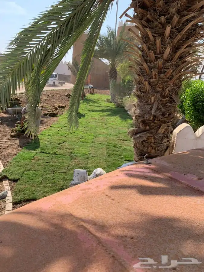 تصميم وتنسيق وصيانة حدائق 22