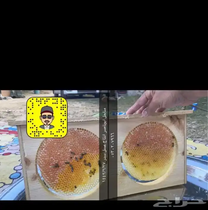 عسل سدر وسمر اصلي 4