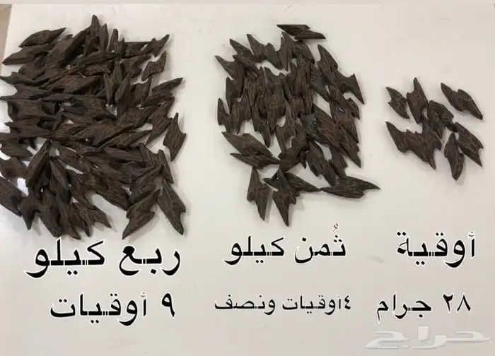 عود كمبودي تايقر فاخر 4