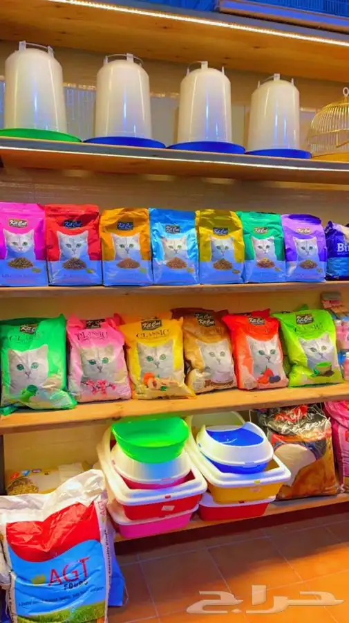 مستلزمات قطط 53