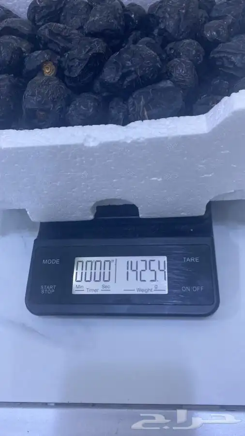 عجوه فاخرره حبه كبيره 19