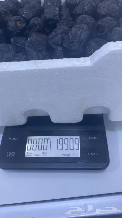 عجوه فاخرره حبه كبيره 20