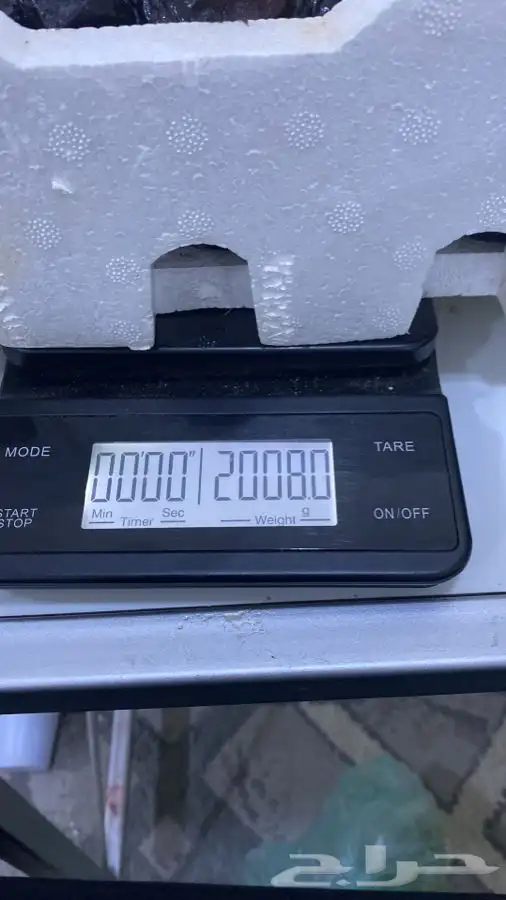 عجوه فاخرره حبه كبيره 15