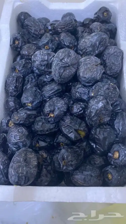 عجوه فاخرره حبه كبيره 14