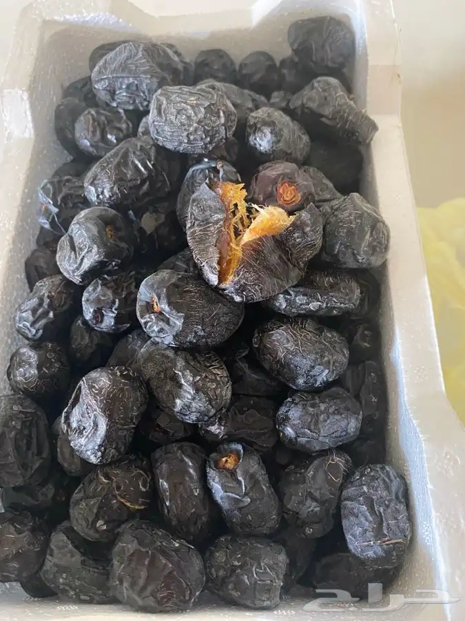 عجوه فاخرره حبه كبيره 16