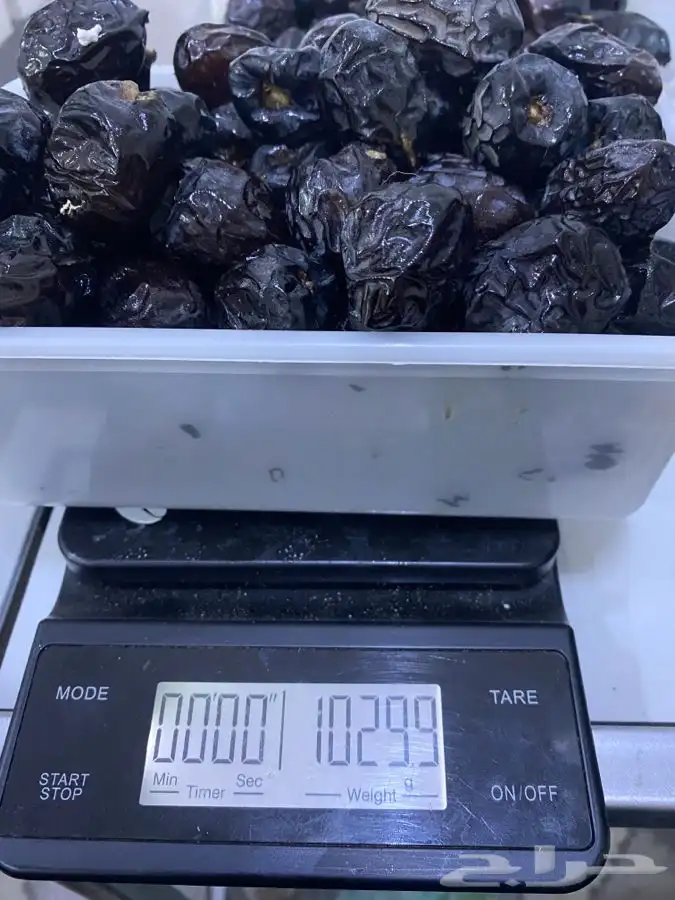 عجوه فاخرره حبه كبيره 13