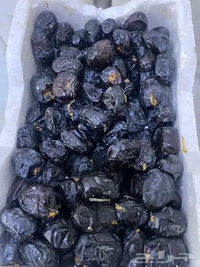 عجوه فاخرره حبه كبيره 9