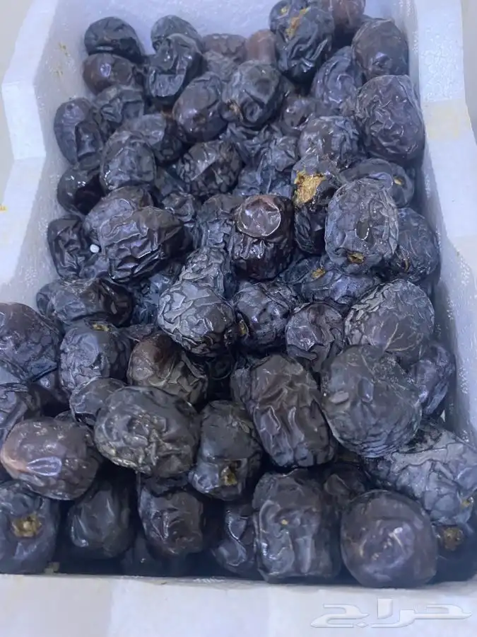 عجوه فاخرره حبه كبيره 7