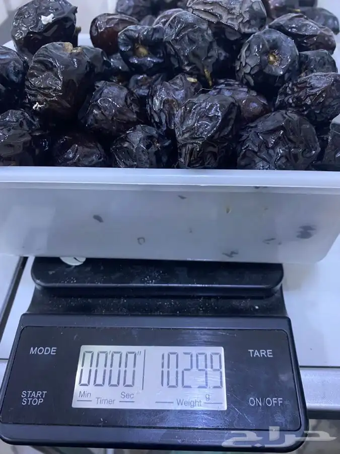 عجوه فاخرره حبه كبيره 12