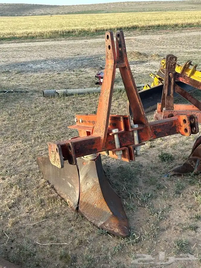 عجوه فاخرره حبه كبيره 18