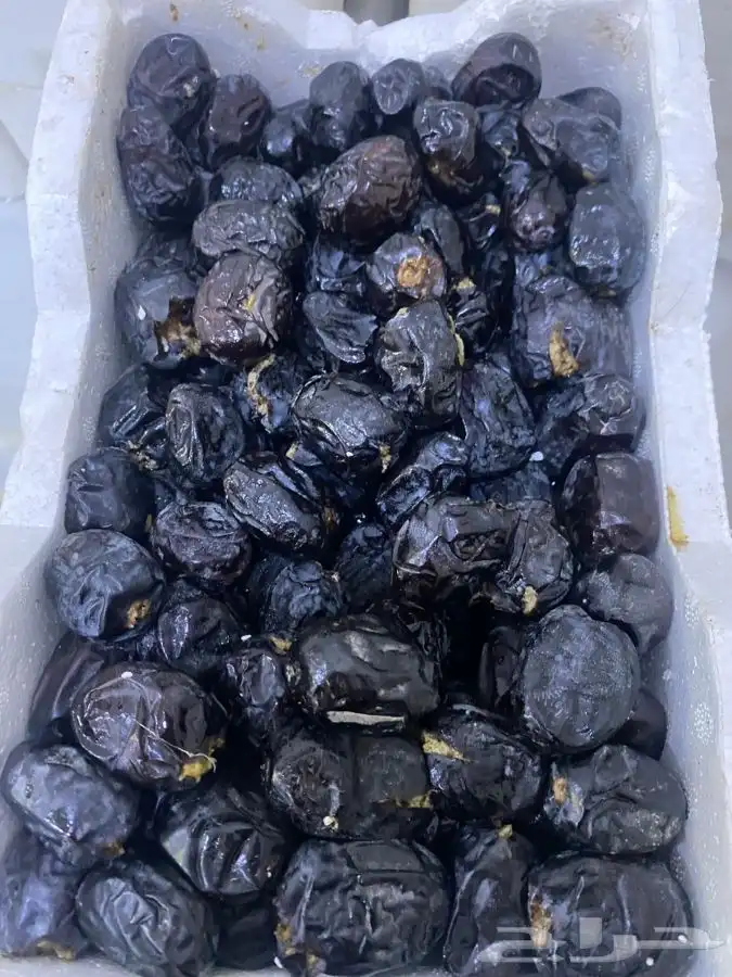 عجوه فاخرره حبه كبيره 10