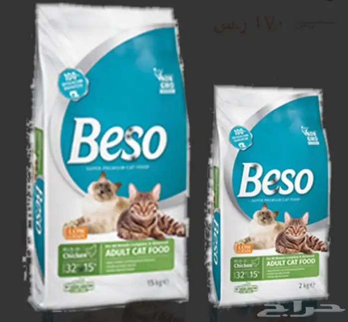 مستلزمات قطط 19