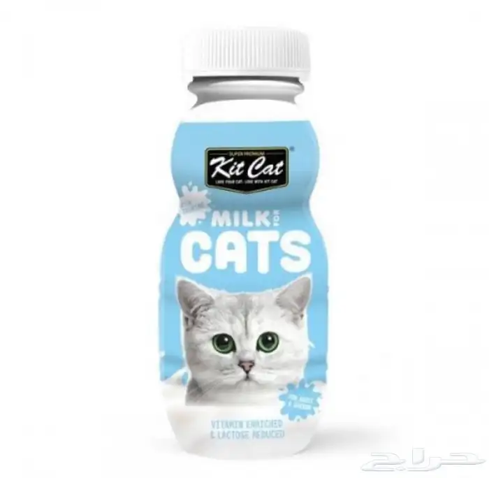 مستلزمات قطط 13