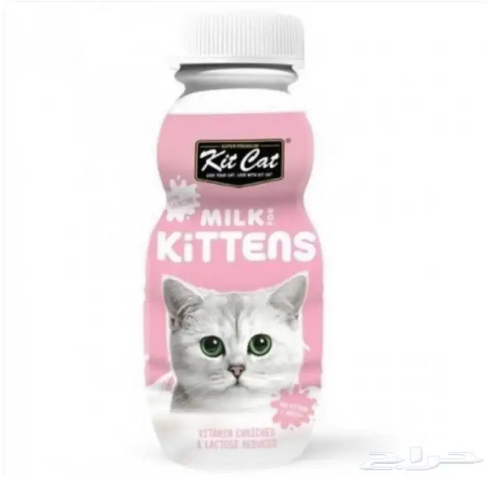 مستلزمات قطط 14