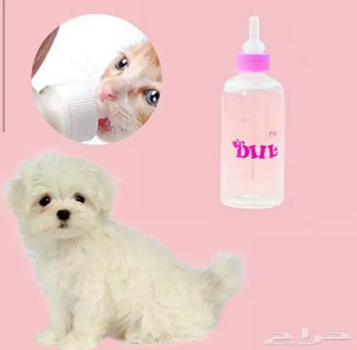 مستلزمات قطط 88