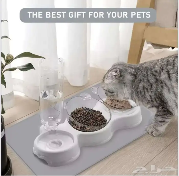 مستلزمات قطط 5