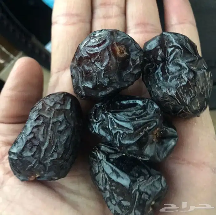 عجوه فاخرره حبه كبيره 21