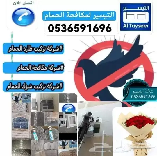 تركيب شرائح لطرد الحمام بالمدينة المنورة 6