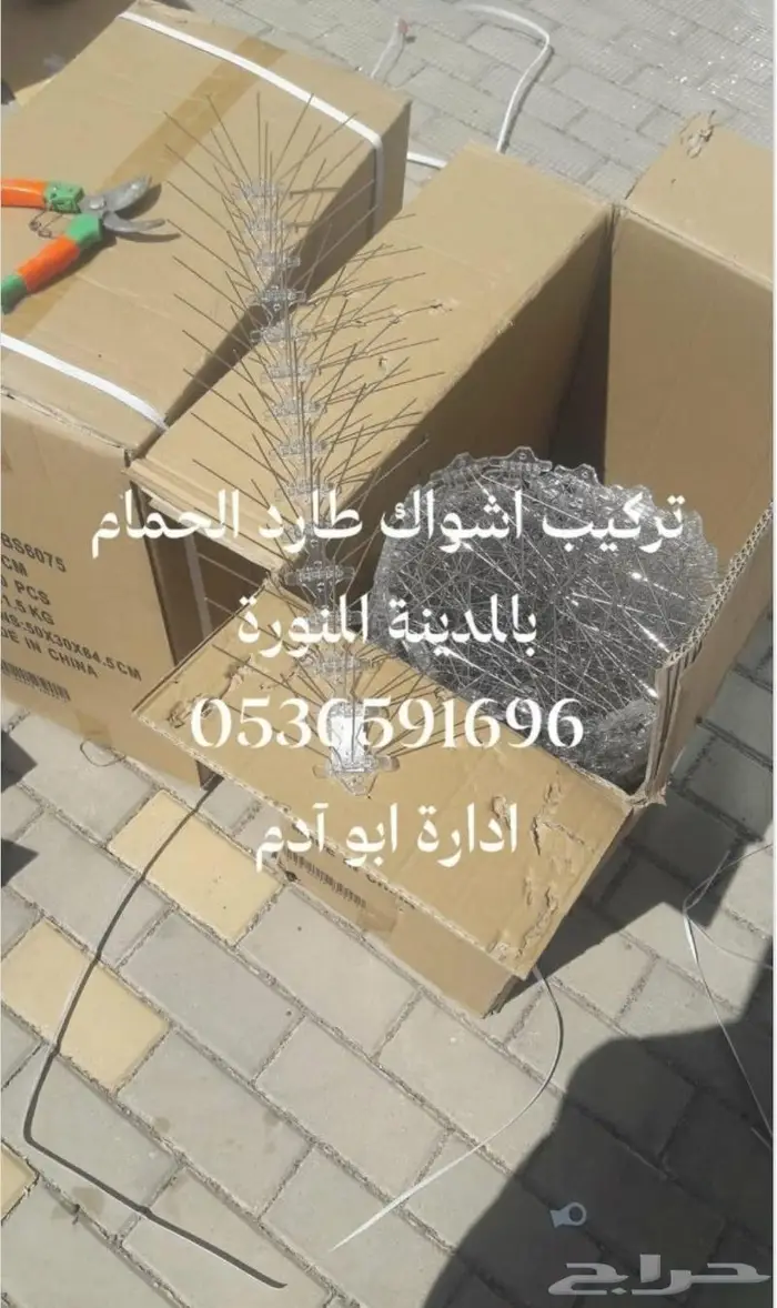 تركيب شرائح لطرد الحمام بالمدينة المنورة 0