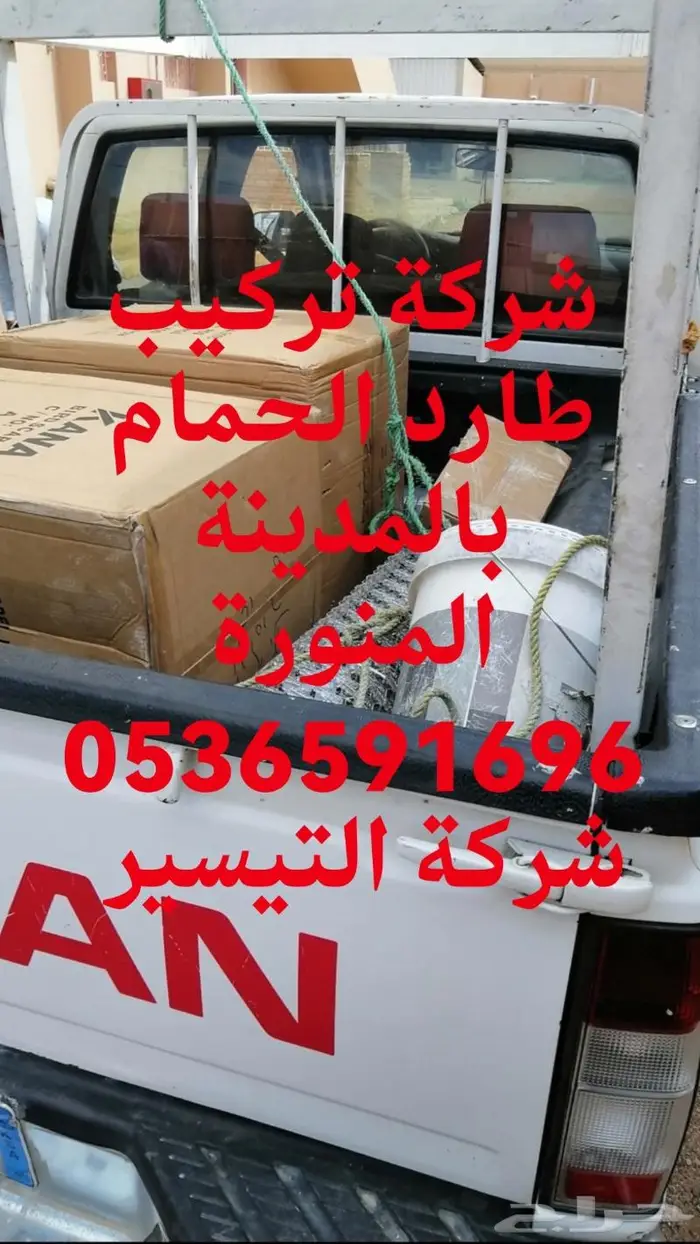 تركيب شرائح لطرد الحمام بالمدينة المنورة 2