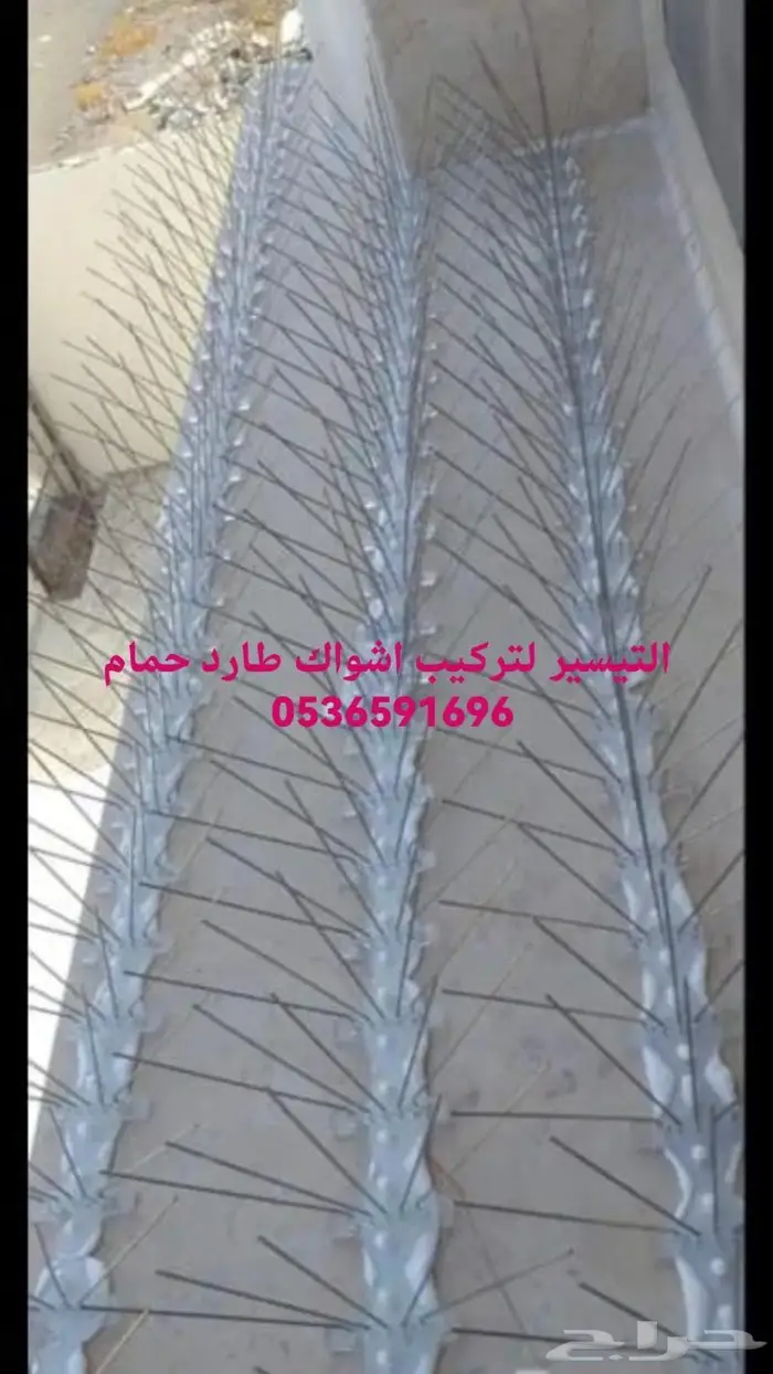 تركيب شرائح لطرد الحمام بالمدينة المنورة 4