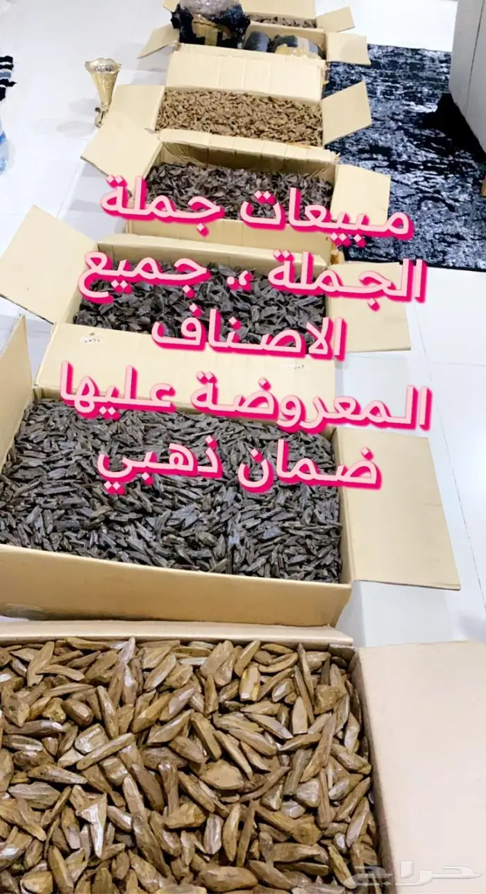 عروض مروكي بيور جملة 0