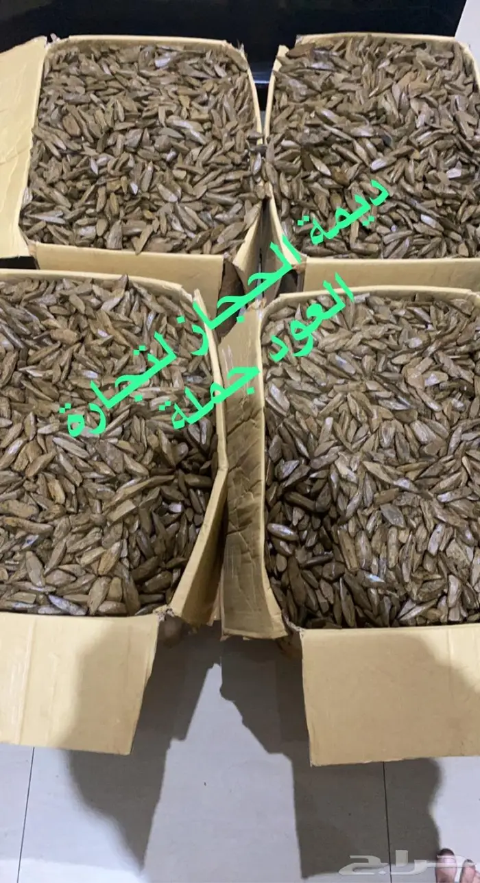 عروض مروكي بيور جملة 2