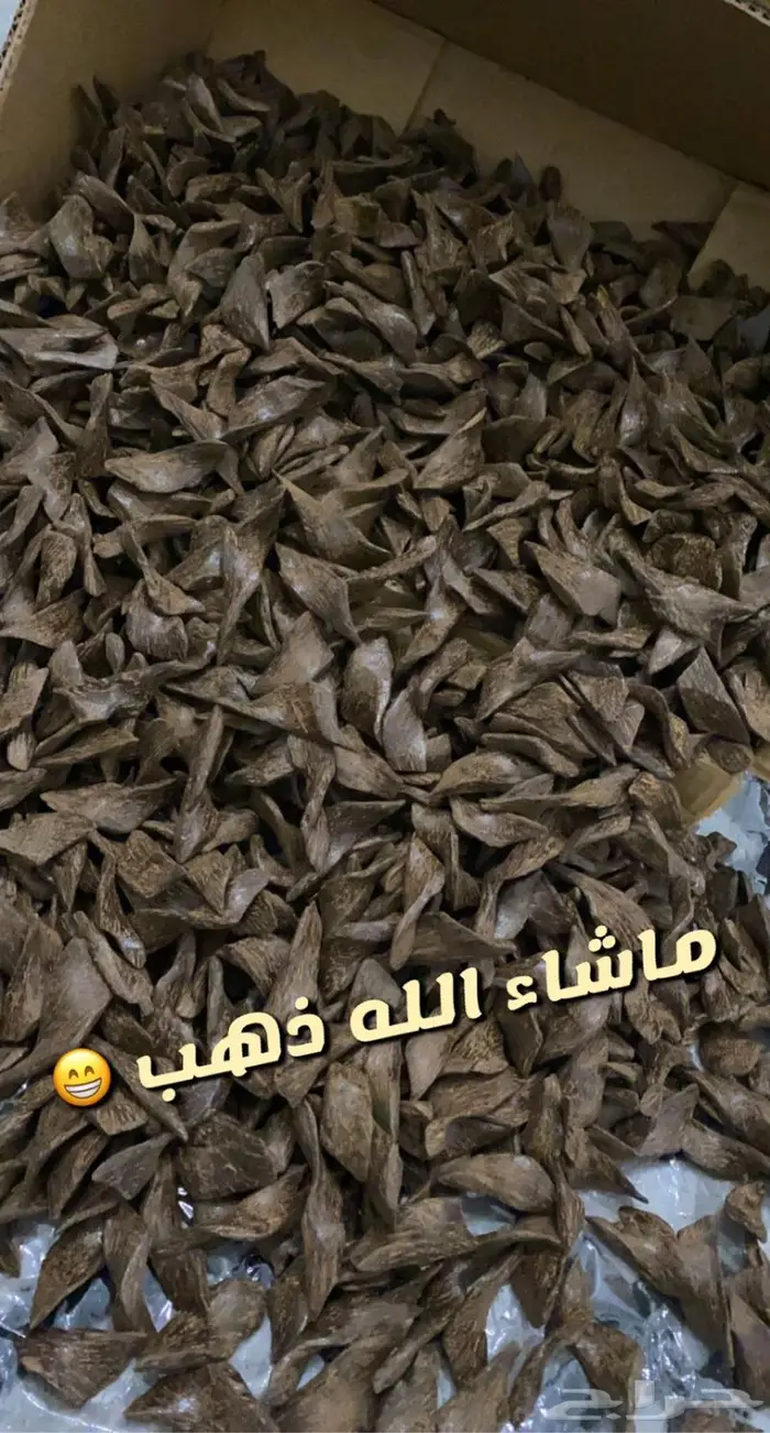 عروض مروكي بيور جملة 10
