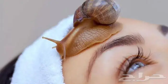 كوفيره بجده 0