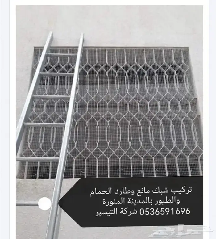 تركيب شرائح لطرد الحمام بالمدينة المنورة 9