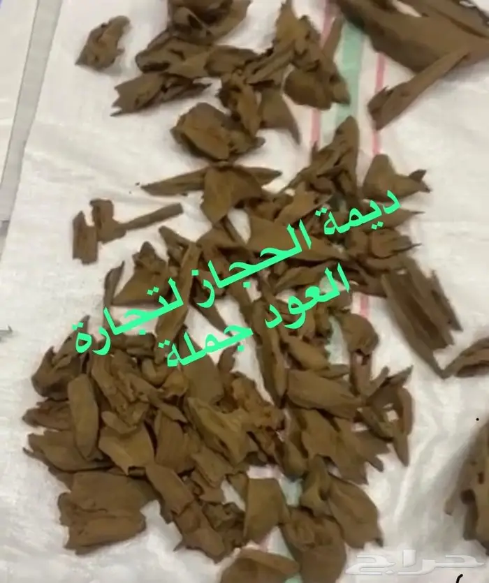 عروض مروكي بيور جملة 9