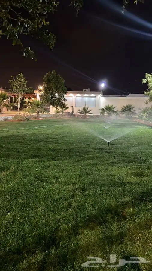 استراحة ومنتجع لافينا للإيجار اليومي 31