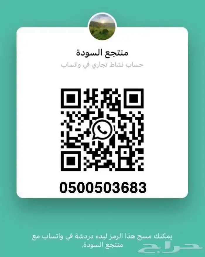 فلل مطلة للايجار ابها - السودة 17