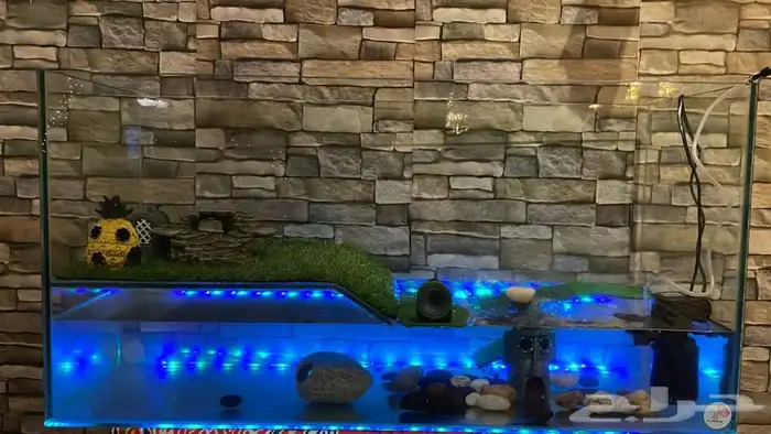 تقسيط تابي تفصيل حوض سلاحف 0