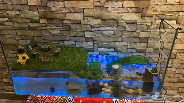 تقسيط تابي تفصيل حوض سلاحف 1