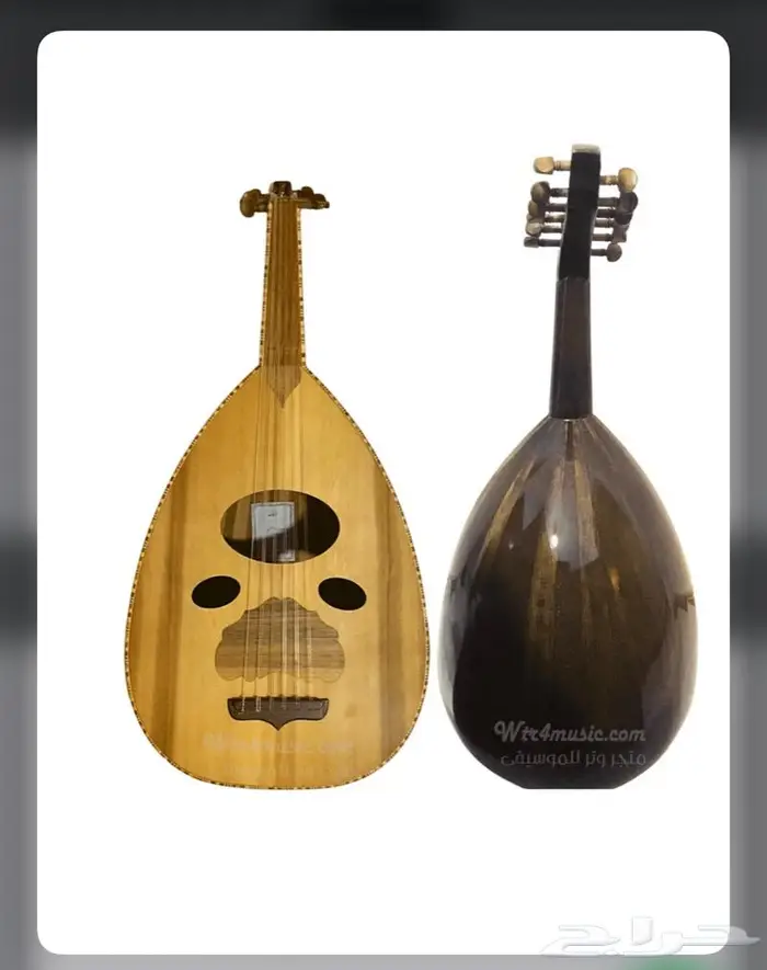 عود زرياب موديل عراقي للبيع 0