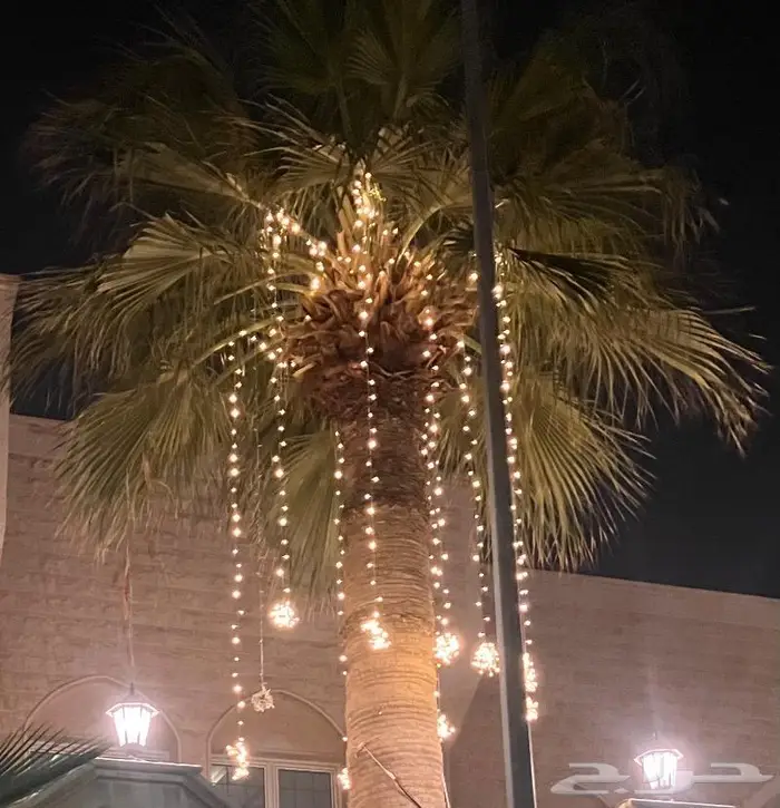 لمبات زينة اضاءات الحوامة عيد الفطر 38