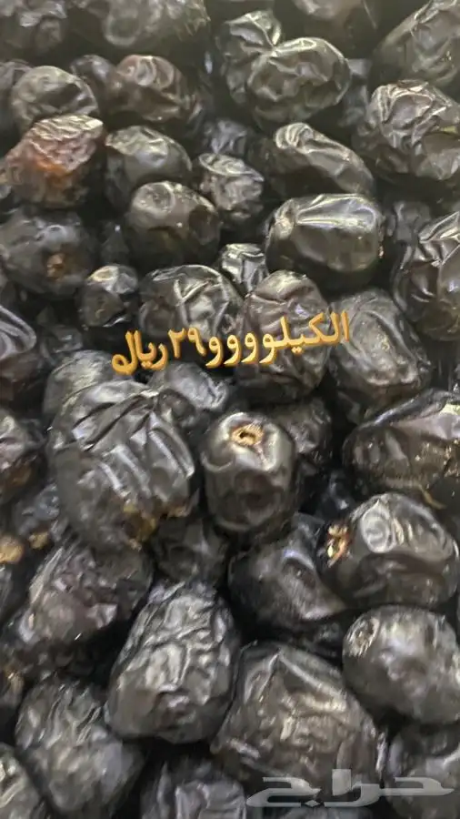 عجوه فاخرره حبه كبيره 22