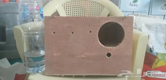 بياضات كبيرة درة كينيور ببغاوات 0