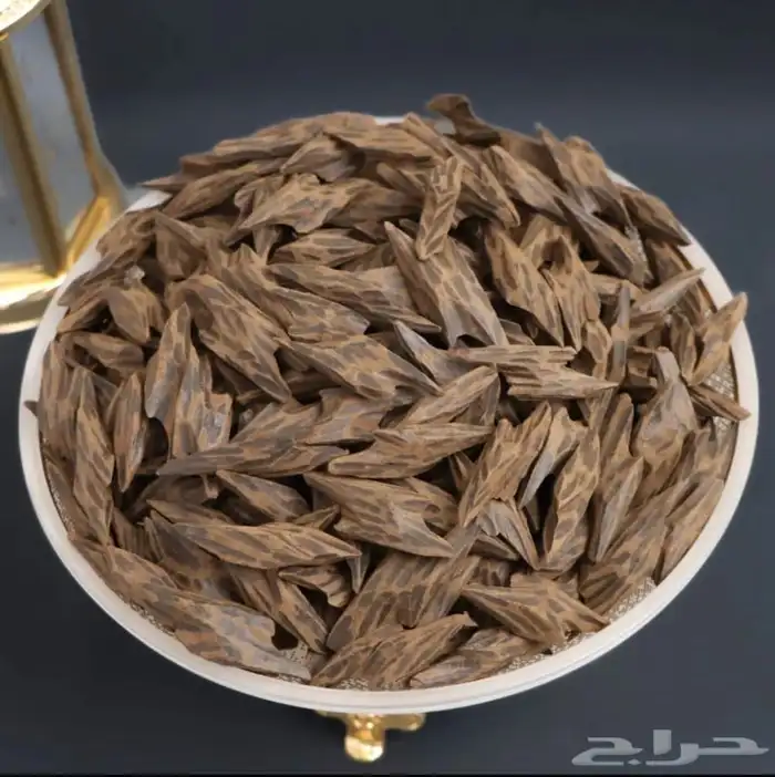 عود 0