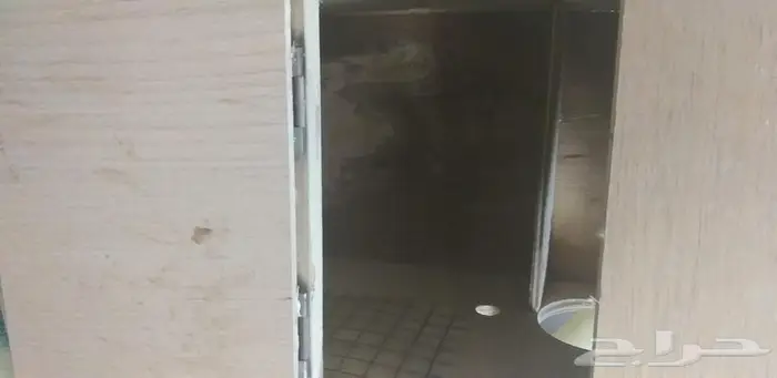 بياضات كبيرة درة كينيور ببغاوات 5