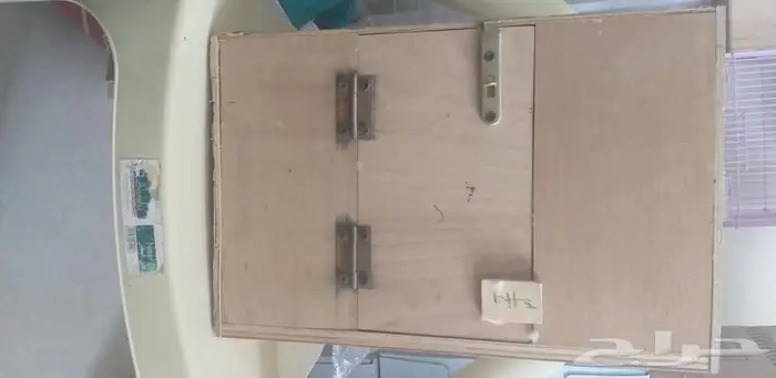 بياضات كبيرة درة كينيور ببغاوات 2