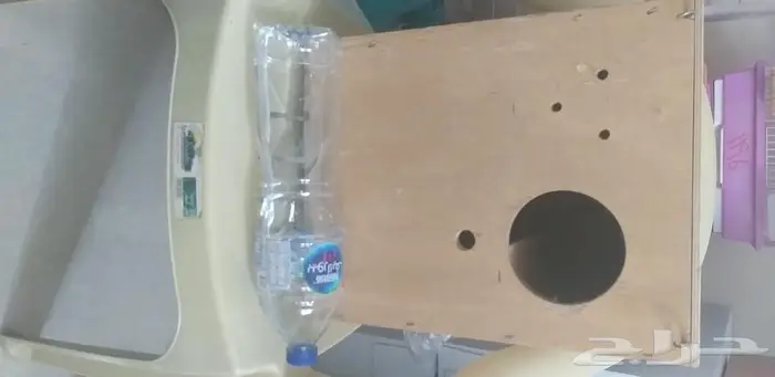 بياضات كبيرة درة كينيور ببغاوات 3