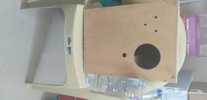 بياضات كبيرة درة كينيور ببغاوات 4