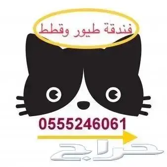 فندقة قطط وطيور - بأسعار مناسبه 2