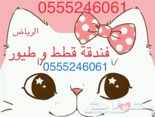 فندقة قطط وطيور - بأسعار مناسبه 0