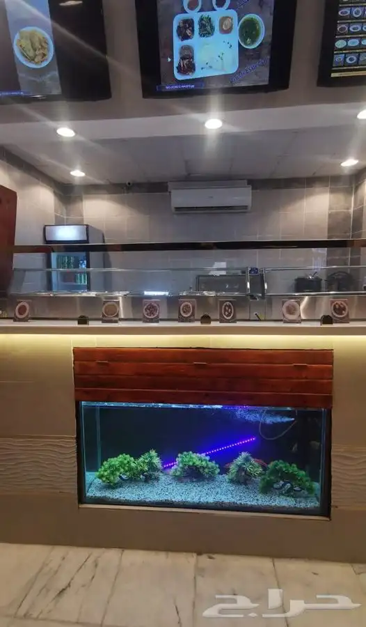 تفصيل احواض سمك المطاعم والكافيهات 0