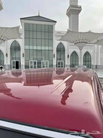 تم البيع 16