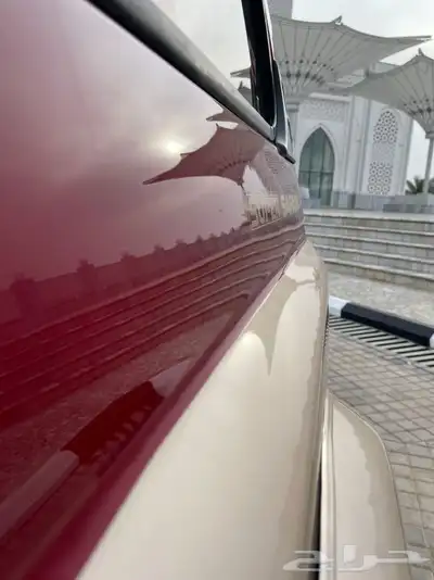 تم البيع 11