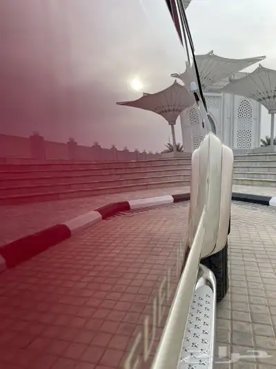 تم البيع 12
